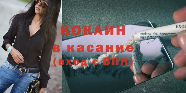 шишки Ростов