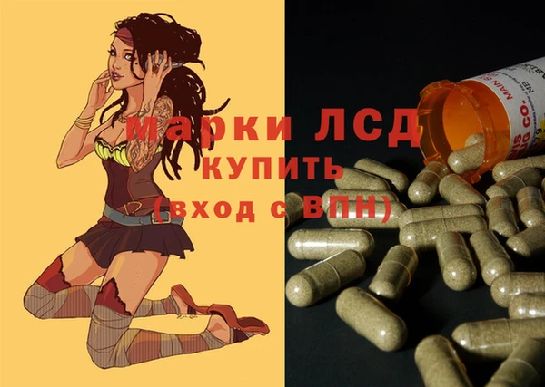 шишки Ростов