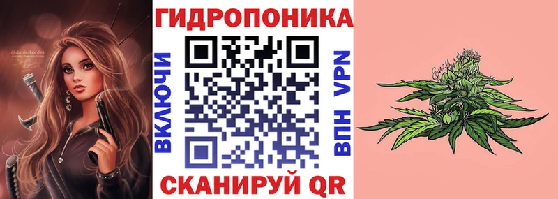 Конопля VHQ  Купить  Родники 